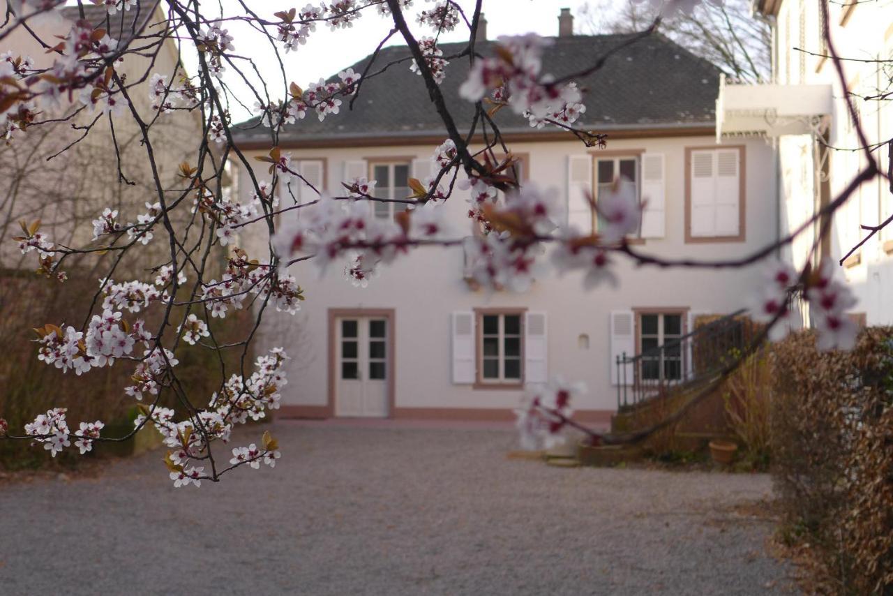 La Maison Carre Wolxheim Eksteriør bilde
